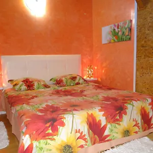  Apartament Orange Flower